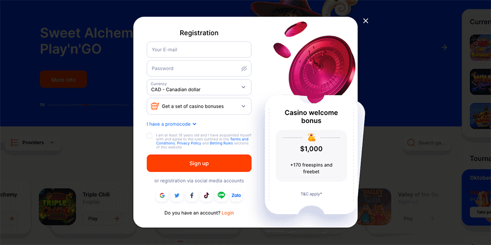 Registration form at Vulkan Bet Casino